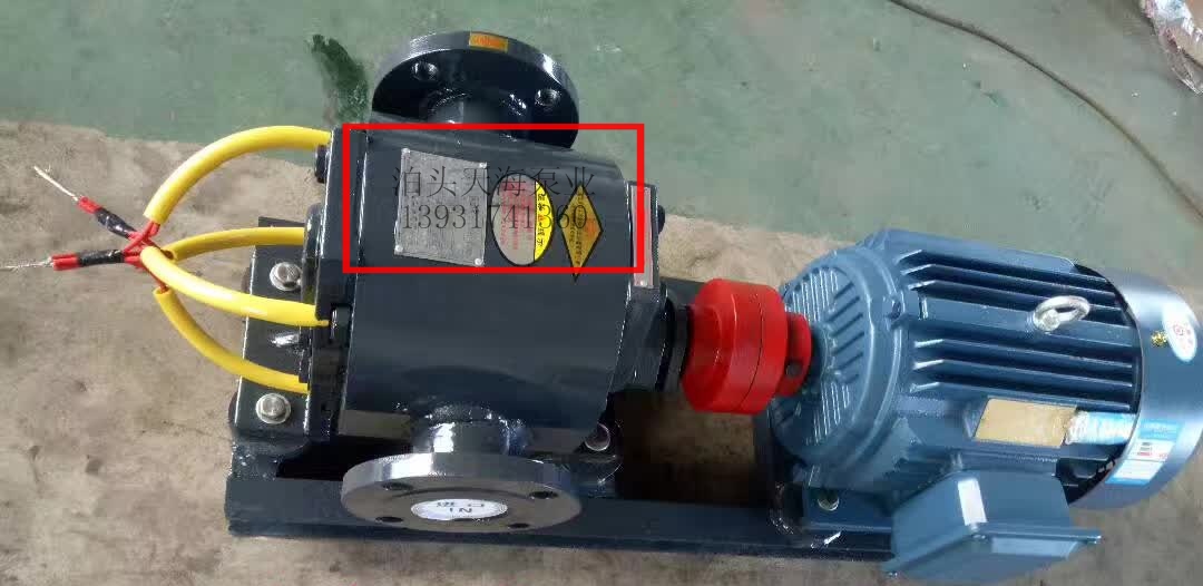 电伴热保温齿轮泵 class=